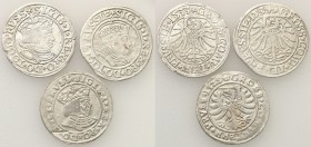 Sigismund I the Old. Grosz 1529-1534, Torun, group 3 pieces 
Roczniki: 1529, 1533, 1534.Ładne egzemplarze z dużą ilością połysku menniczego.Kopicki 3...