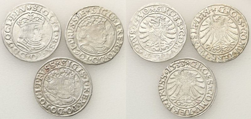 Sigismund I the Old. Grosz 1530-1534, Torun, group 3 pieces 
Roczniki: 1530, 15...