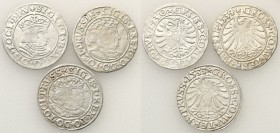 Sigismund I the Old. Grosz 1530-1534, Torun, group 3 pieces 
Roczniki: 1530, 1533, 1534.Zachowany połysk w tle, minimalnie niedobite.Kopicki 3084/308...