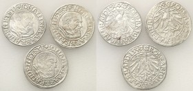 Silesia. Jan Kostrzyński. Grosz 1544-1545 Kostrzyń, group 3 pieces 
Roczniki: 1544, 1545. Zestaw 3 monet.Połysk w tle. Ładne egzemplarzeF.u.S 1992
W...