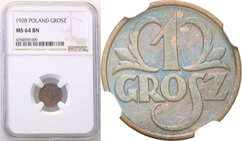 II RP. 1 grosz 1928 NGC MS64 BN 
Brązowo-niebieska patyna, połysk. Moneta wyjęt...