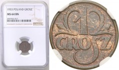 II RP 1 grosz 1933 NGC MS64 BN 
Moneta w brązowej patynie. Piękny połysk menniczy, nieruszone detale.Parchimowicz 101h
Waga/Weight: Metal: Średnica/...