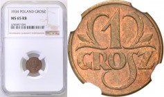 II RP. 1 grosz 1934 NGC MS65 RB 
Świetne detale, brązowa patyna z przebijającym połyskiem menniczym.Rzadki rocznik, szczególnie w tak znakomitym stan...