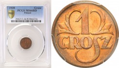 II RP. 1 grosz 1938 PCGS MS66 RD (2 MAX) 
Dość popularny rocznik, ale najbardziej poszukiwanym czerwonym odcieniu brązu. Moneta wyselekcjonowana z ru...