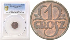 II RP. 1 grosz 1939 PCGS MS63 RB 
Menniczy egzemplarz wyjęty prosto z rulonu bankowego. Mocny połysk, delikatna patyna.Parchimowicz 101n
Waga/Weight...