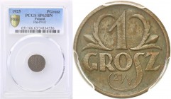 II RP. PROBA / PATTERN bronze 1 grosz 1925 PCGS SP63 BN (MAX) 
Rzadka moneta wybita z okazji poświęcenia mennicy w nakładzie 1000 sztuk. Na rewersie,...