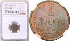 Wolne Miasto Gdańsk/Danzig. 1 fenig 1937 NGC MS64 BN 
Idealnie zachowana monet. Mocny połysk menniczy na całej powierzchni, nieruszone detale, piękna...
