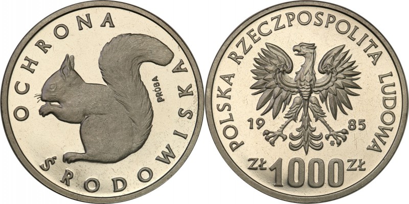 PRL. PROBA / PATTERN Nickel 1000 zlotych 1985 Wiewiórka 
Piękny egzemplarz.Fisc...