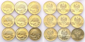 III RP 2 zlote 1996 Jeż, group 9 pieces 
Pięknie zachowane monety. Rzadsze dwuzłotówki.Fischer OB (2) 006
Waga/Weight: 8,15 g GN szt. Metal: Średnic...