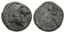 Greek Coins PONTOS. Uncertain. Ae (Circa 130-100 BC). Obv: Head of horse right. Rev: Filleted palm frond. Cf. SNG BM Black Sea 984; cf. HGC 7, 317; CN...