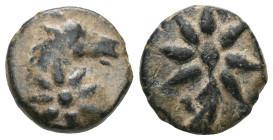 Greek Pontos, uncertain mint (Amisos?) Æ11. Circa 130-100 BC. Head of horse right, with star of eight points on its neck / Comet star of eight points ...