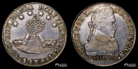 Bolivia, Potosi. 8 Soles. 1834. LM.