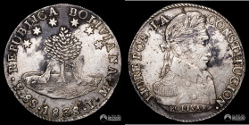Bolivia, Potosi. 8 Soles. 1838. LM.