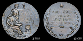 Chile. Medalla: Centenario del Instituto Nacional. 1913.