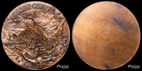 Chile. Medalla: Braden Copper Co. 1967. Unifacial.