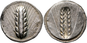 LUCANIA. Metapontion. Circa 540-510 BC. Stater (Silver, 30 mm, 7.94 g). META Ear of barley with eight grains; border of dots within two concentric lin...