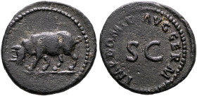 Domitian, 81-96. Quadrans (Copper, 18 mm, 2.41 g, 6 h), Rome, 84-85. Rhinoceros walking left. Rev. IMP DOMIT AVG GERM around large S C. BMC 498. Cohen...