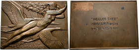 FRANCE, Troisième République. 1870-1940. Plaquette (Bronze, 71x52 mm, 131.09 g, 12 h), issued by the Ministère de l’Air. By R. Delamarre, no date (193...
