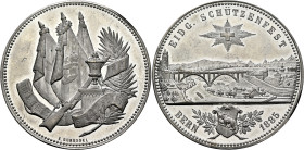 SWITZERLAND. Schützenmedaillen (Shooting Medals). Medal 1885 (Tin, 48 mm, 32.42 g, 12 h), on the Confederate Shooting Festival in Bern. By E. Durusell...