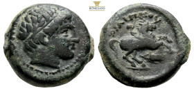 Kings of Macedon. temp. Philip II – Antipater & Alexander V. Circa 359-294 BC. AE (6.90g, 18mm). Uncertain mint in Macedon. Diademed head of Apollo ri...