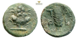 Asia Minor, Uncertain. Circa 4th-2nd century BC. AE (0.71g, 9mm) Grape bunch right on vine. / grain ear left; SNG von Aulock -; SNG Copenhagen -; BMC ...