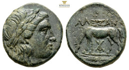 Troas, Alexandreia AE Circa 261-227 BC. (4.80g, 1005mm) Laureate head of Apollo to right / Horse grazing to right; AΛE above, palm in right field, mon...