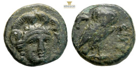 Troas, Sigeion AE Circa 355-334 BC. (1.84g, 12.3mm) Head of Athena facing slightly to right, wearing triple-crested helmet / Owl standing to right, he...