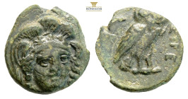 Troas, Sigeion AE Circa 355-334 BC. (1.47g, 12.7mm) Head of Athena facing slightly to right, wearing triple-crested helmet / Owl standing to right, he...