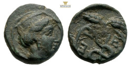 Troas, Zeleia. AE Circa 4th century BC.(1.46g, 10.7mm) Head of Artemis right, wearing stephanos / Monogram within grain-wreath. SNG Copenhagen (Troas)...