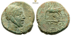 Pontos, Amisos. AE Circa 100-95 or 80-70 BC. (12.94g, 23.6mm) Head of Perseus to right, wearing helmet with griffin head / Pegasos drinking to left; A...