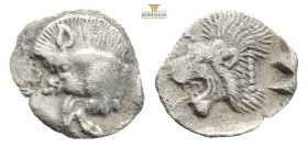 Mysia, Kyzikos AR Hemiobol. Circa 450-400 BC. (0.38g, 9.7mm) Forepart of boar to left, tunny upward to right / Head of roaring lion to left within inc...