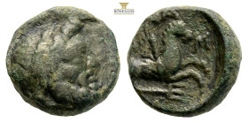Mysia, Lampsakos. AE 4th-3rd century BC. Laureate head of Zeus to right / Forepart of pegasos to right, ΛAM around, Etrafta ΛAM, aşağıda trident below...
