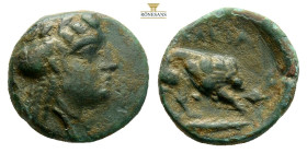 Mysia, Plakia. 4th century BC. AE (1.32g, 12.9mm) Turreted head of Kybele to right / Lion standing to right on grain ear, devouring prey; ΠΛΑΚΙΑ above...