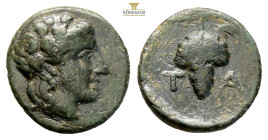Aeolis, Temnos. Circa 3rd century BC. AE (1.74g, 13.2mm) Head of Dionysos right, wearing ivy wreath / Vine-branch with leaves and bunch of grapes; T-A...