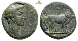 Macedon, Uncertain (Philippi?). Augustus. 27 BC-AD 14. AE (4.41g, 18mm) Bare head right / Two founders driving yoke of oxen right, plowing pomerium. R...