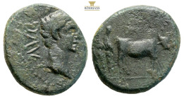 Macedon, Uncertain (Philippi?). Augustus. 27 BC-AD 14. AE (4.06g, 18.1mm) Bare head right / Two founders driving yoke of oxen right, plowing pomerium....
