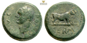 Macedon, Uncertain (Philippi?) Domitian?. 81 BC-AD 90. AE (4.28g, 15.8mm) Bare head right / Two founders driving yoke of oxen right, plowing pomerium.