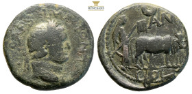 Pisidia, Antioch. Titus, Caesar. AD 69-79 AE (6.46g, 21.6mm) TITO IMP CAESARI AVGVSTI F COS V. Laureate head right. ANT / COL. Priest holding vexillum...