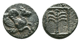 TROAS, Skepsis. Circa 350-310 BC. Ae Forepart of Pegasos right / Fir-tree in linear square; thunderbolt left. Condition: Very Fine

Weight: 0,87 gr....