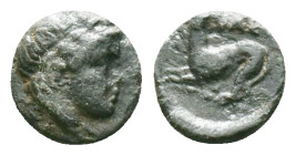 Gargara , Troas. c. late 3rd to early 2nd Century BC. Obv. Laureate head of Apollo right. Rev. Horse galloping right, ΓAP above, grape below. Conditio...