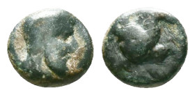 Greek Coins. 4th - 3rd century B.C. AE Reference: Condition: Very Fine

Weight: 0,86 gr. Diameter: 8,5 mm