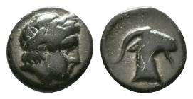 Aeolis. Aigai circa 400-300 BC. Bronze Æ. Laureate head of Apollo right, hair short / Head of goat right Condition: Very Fine

Weight: 0,92 gr. Diam...