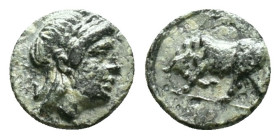 MYSIA. Gambrion. (4th century BC).AE Bronze Obv: Laureate head of Apollo to right. Rev: Bull butting left. Condition: Very Fine

Weight: 0,86 gr. Di...