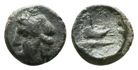 Skythia. Olbia. AE 22. 260-250 BC. Condition: Very Fine

Weight: 1,48 gr. Diameter: 9,9 mm
