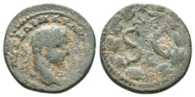 SELEUCIS AND PIERIA, Antioch, Elagabalus (218-222 AD) AE Bronze Obv: AVT KAI MAP AVP ANTΩNINOC CЄ, radiate head to right. Rev: S•C; ΔЄ above, eagle be...
