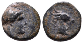 AEOLIS. Aigai. Circa 4th-3rd centuries BC. Obv: Laureate head of Apollo to right. Rev: Head and neck of a goat to right, AIΓAI behind. Æ 10mm, 0,85g