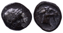 AEOLIS. Aigai. Circa 4th-3rd centuries BC. Obv: Laureate head of Apollo right. Rev: Head of goat right. Æ 9mm, 1,11g