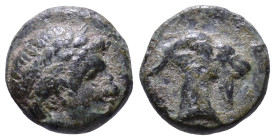 AEOLIS. Aigai. Circa 4th-3rd centuries BC. Obv: Laureate head of Apollo right. Rev: Head of goat right. Æ 9mm, 0,89g