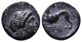 LESBOS. Nasos Pordosilene. 3rd-2nd centuries BC. Obv: Laureate head of Apollo right. Rev: ΝΑΣ Panther crouching left, head facing; below,trident. Æ 10...