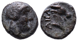AEOLIS. Aigai. Circa 4th-3rd centuries BC. Obv: Laureate head of Apollo to right. Rev: Head and neck of a goat to right, AIΓAI behind. Æ 9mm, 0,89g
